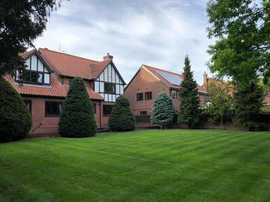 Beautiful GreenThumb Lawn, lawn refresh, lawn renovation, lawn makeover