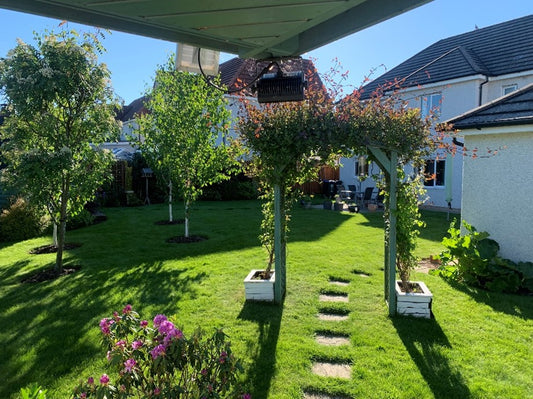 GreenThumb lawn with patio stepping stones and an arch