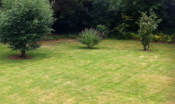 Close-up of a brown and patchy lawn with dry, discoloured grass and bare spots caused by drought or lawn disease