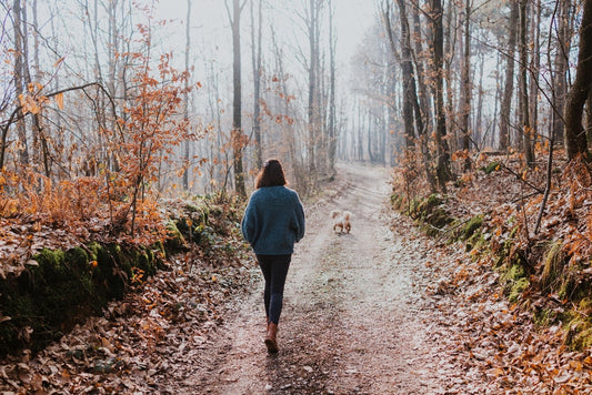 Winter walking