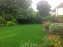 Lush green lawn treated by GreenThumb Epsom