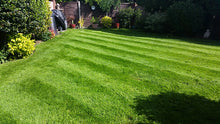 A vibrant green healthy lawn treated by GreenThumb Birmingham North