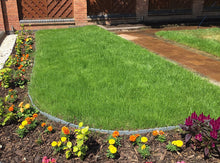 A small healthy lawn treated by GreenThumb Birmingham North
