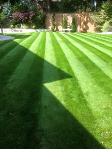 Another great looking striped lawn treated by GreenThumb Croyden and Bromley