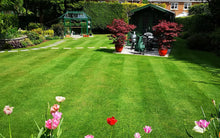 Lovely garden and healthy lawn treated by GreenThumb Bolton West