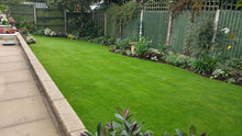 GreenThumb Lichfield beautiful lawn