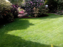 Lush Lawn treated by GreenThumb Bolton West