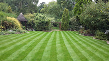 Stripes on a beautiful healthy lawn treated by GreenThumb Bedford