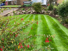 Small lush green lawn treated by GreenThumb Lancaster