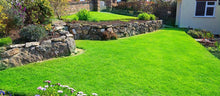 vibrant green lawn treated by greenthumb chichester