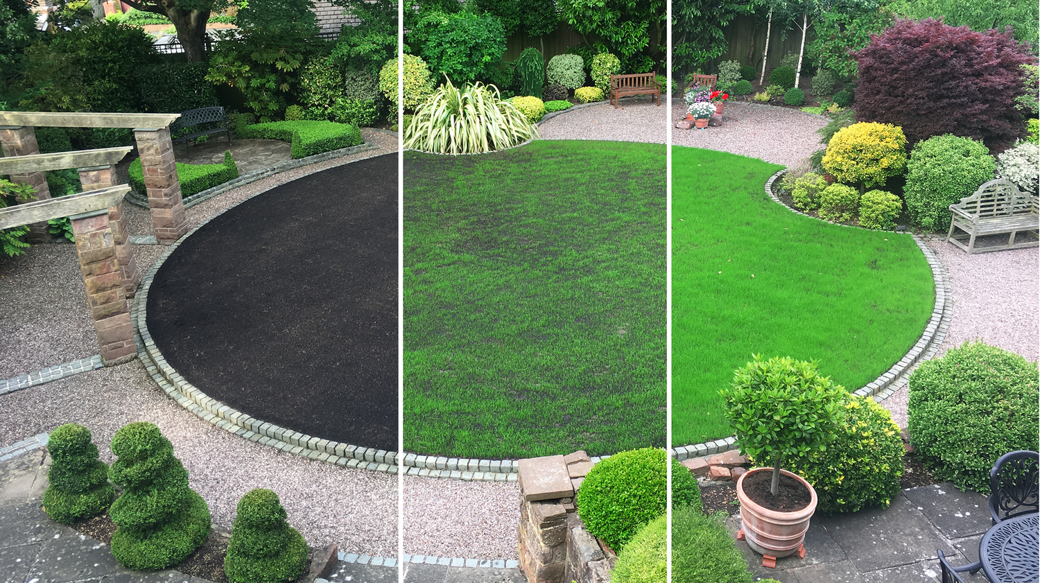 grass showing the three stages of a lawn makeover