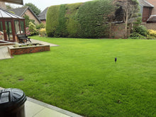 large garden lawn treated by greenthumb chichester