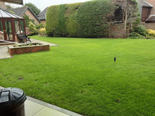 large garden  lawn treated by greenthumb chichester