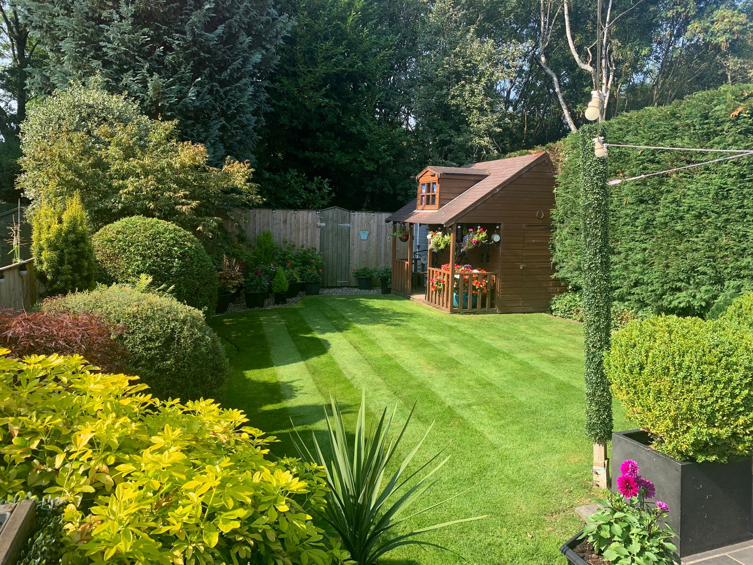 beautiful greenthumb lawn with small cabin