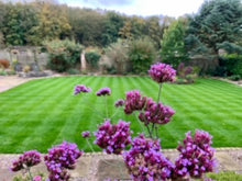 Beautiful large lawn treated by GreenThumb Lancaster