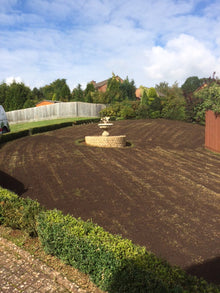 Lawn before it has been treated by GreenThumb Kettering