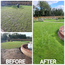 GreenThumb Ashbourne before and after lawn treatment photo