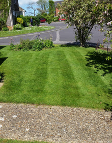 striped green lawn treated by greenthumb chichester