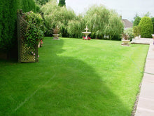 Green lawn treated by GreenThumb Swindon