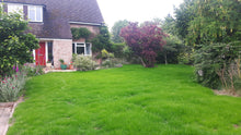 A lovely green lawn after being treated by GreenThumb Redditch