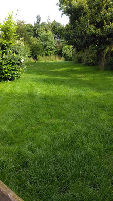 greenthumb grantham & bourne after treatment beautiful lawn