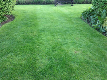 lush lawn treated by GreenThumb Gloucester