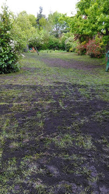 lawn during greenthumb makeover treated by GreenThumb Peterborough