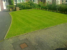 Small front lawn treated by GreenThumb Abergavenny