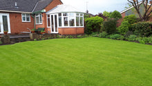 vibrant green lawn treated by GreenThumb Worcester