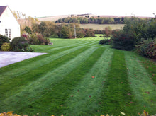 large lawn with stripes treated by GreenThumb Blandford Forum