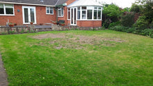 run down lawn before it was treated by GreenThumb Worcester