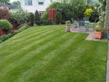 Beautiful Garden with a healthy lawn treated by GreenThumb Bradford West