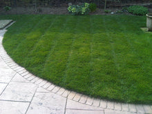 A vibrant healthy lawn treated by GreenThumb Bradford West