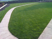 Lush lawn treated by GreenThumb Bradford West