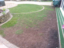 Damaged lawn before GreenThumb Bristol Treatments