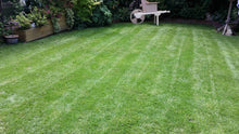 Lush green lawn tretaed by GreenThumb Christchurch