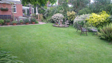 Lovely garden with a lawn tretaed by GreenThumb Christchurch