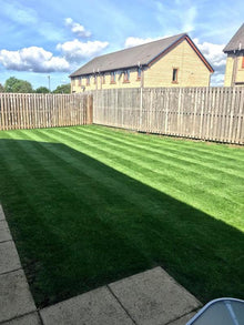 Stripes on a healthy lawn treated by GreenThumb Burnley