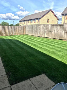 Stripes on a healthy lawn treated by GreenThumb Burnley