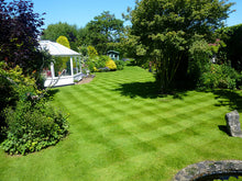 Large lush lawn with stripes treated by GreenThumb Flintshire