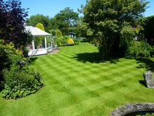 Large lush lawn with stripes treated by GreenThumb Flintshire