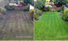 GreenThumb Edinburgh lawn before & after Machine Work 