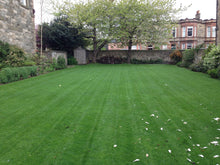 long lush green lawn treated by GreenThumb Edinburgh