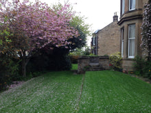 green lawn covered in blossoms treated by GreenThumb Edinburgh
