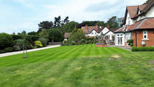 beautiful lawn after lawn makeover treated by GreenThumb Worcester