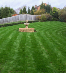 Lush green lawn with stripes after GreenThumb Kettering treatments