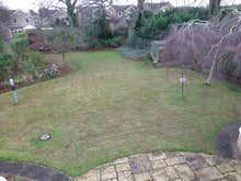 lawn after scarification treated by GreenThumb Peterborough