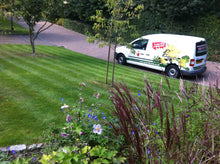 lush front lawn treated by GreenThumb Gravesend