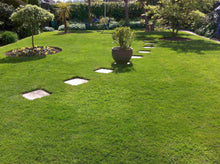 Lush lawn by GreenThumb Hastings