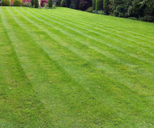 A large lawn treated by GreenThumb Bolton West